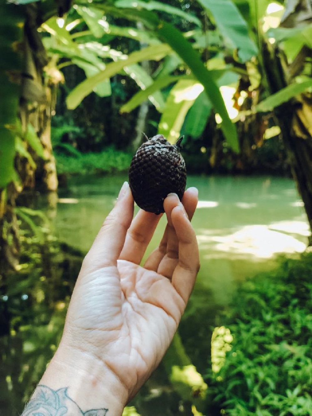 BATE VOLTA – LAGOA DO JAPONÊS/PEDRA FURADA