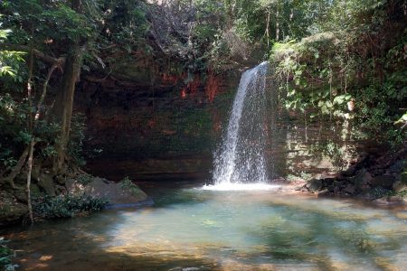 Em breve: Abertura Fazenda Encantada